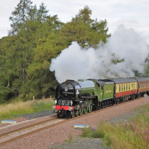 A3 PHOTOGRAPH - A3 Pacific 60163 "Tornado"